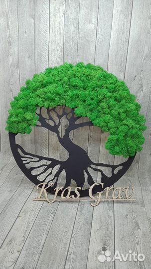 Панно из стабилизированного мха