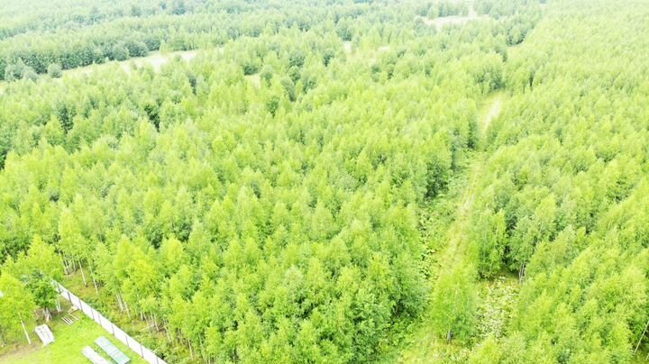 Участок 18,6 сот. (ИЖС)