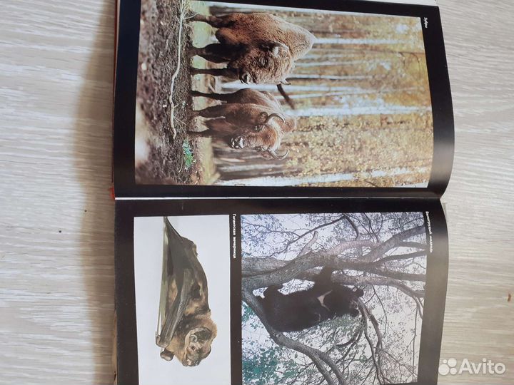 Красная книга.Животные