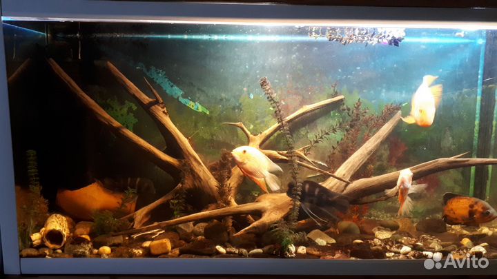 Украшения для аквариума