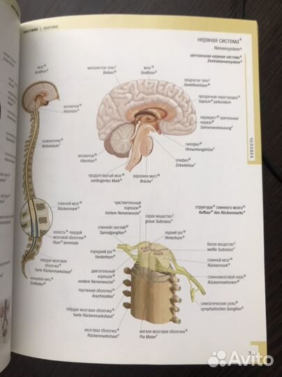 Словарь по немецкому языку