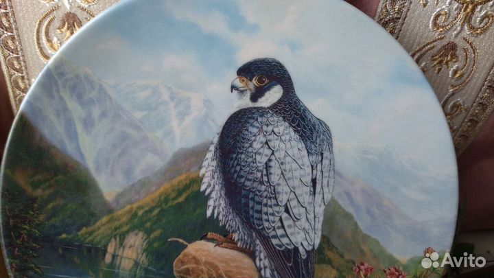 Тарелка настенная Сапсан Зельтманнов, Вохенштраусс