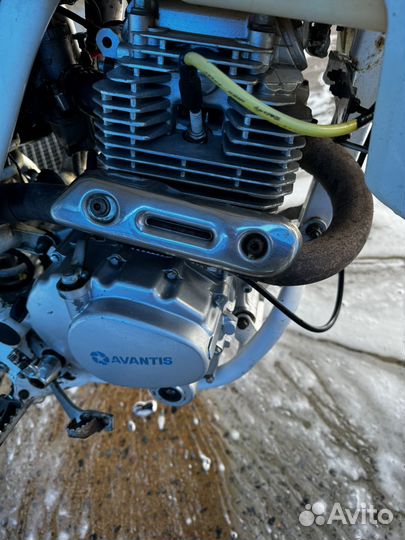 Avantis FX Lux 250
