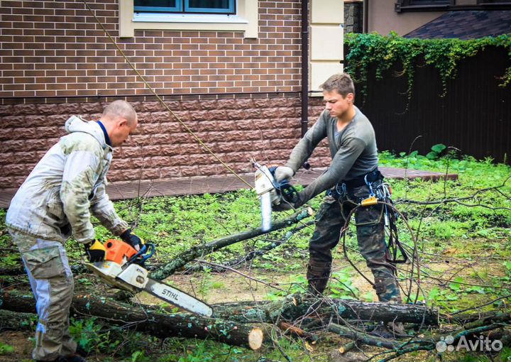 Грузчики Разнорабочие Демонтаж Землекопы