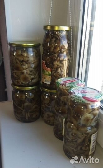 Домашние заготовки: лечо, грибы маринованные, суше