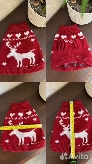 Одежда и обувь на маленькую собачку, разное