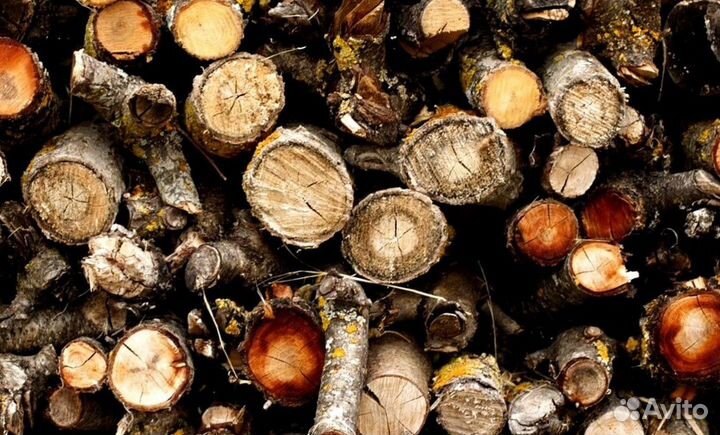 Дрова