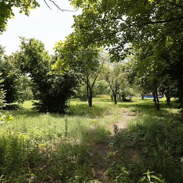 Дом 125 м² на участке 7000 м² (Азербайджан)