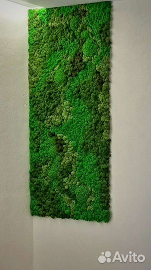 Панно из стабилизированного мха