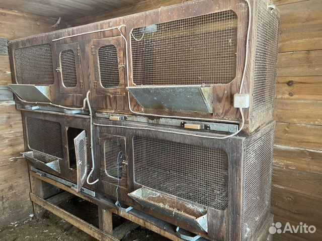 Курица.Клетки для кур. обмен