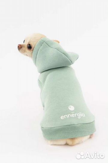 Худи для маленьких собак