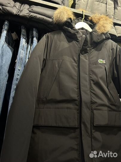 Зимняя парка Lacoste