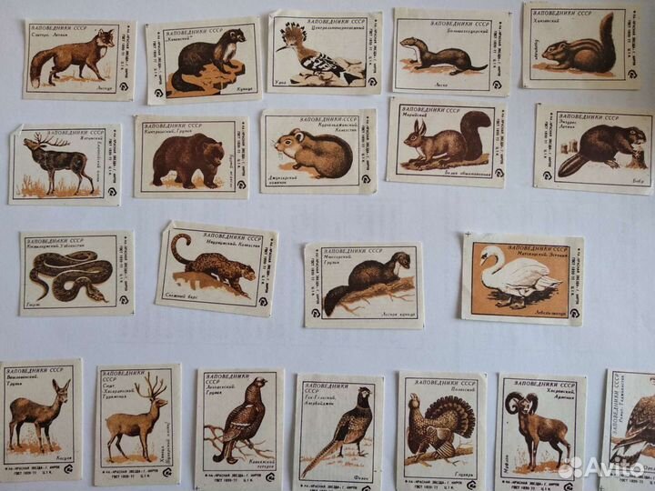 Этикетки на спичечный коробок