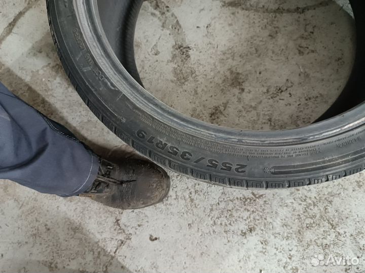 Gripmax Status Pro Winter 225/40 R19 и 255/35 R19