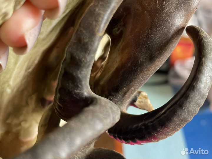 Фарфоровая статуэтка 