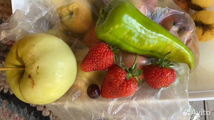 Клубника саженцы