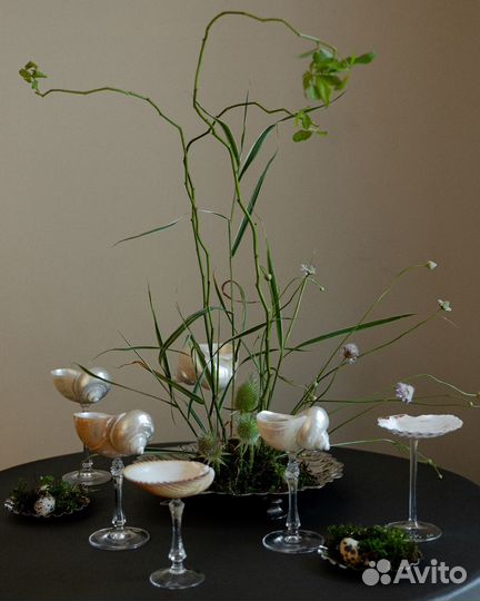 Аренда бокалов