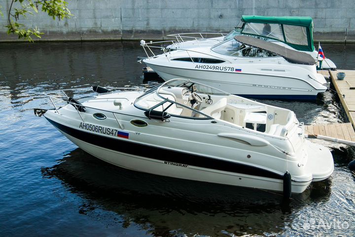 Stingray 250 катер бизнес класса