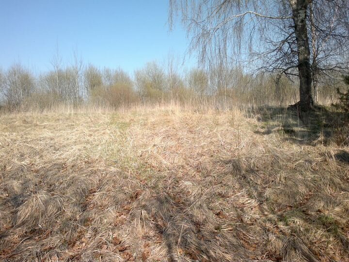 Участок 8 сот. (СНТ, ДНП)