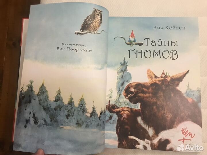 Книга детская Тайны гномов. Вил Хейген