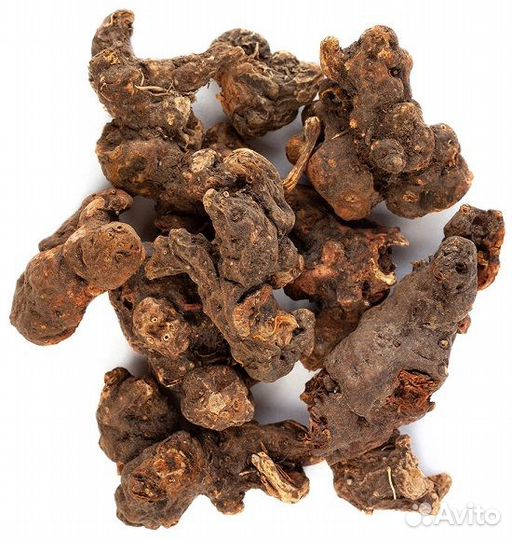 Корень калгана