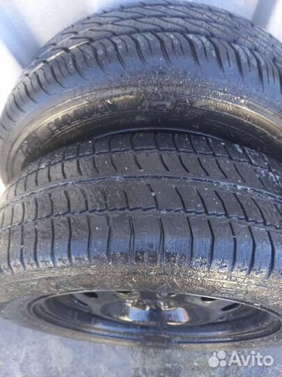 КАМА 365 LT (НК-243) 175/65 R14