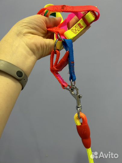 Шлейка для собак мелких пород