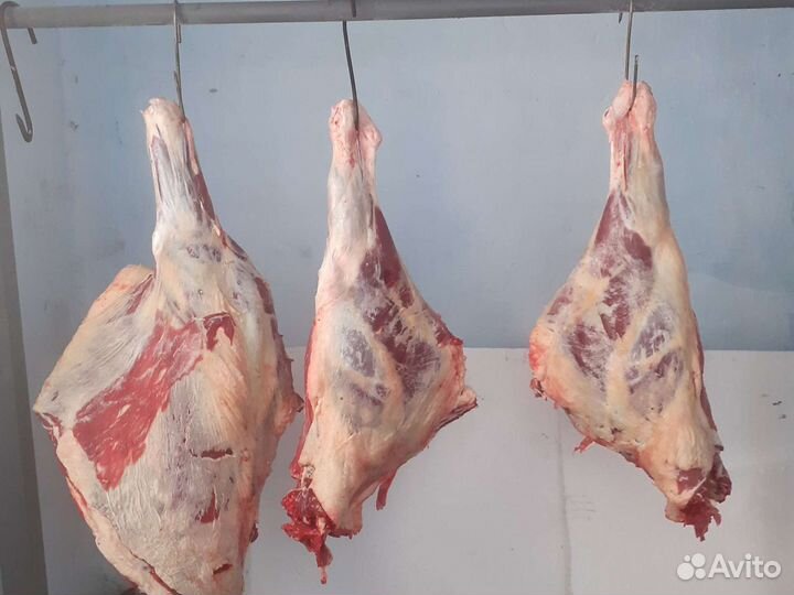 Мясо говядина молодая