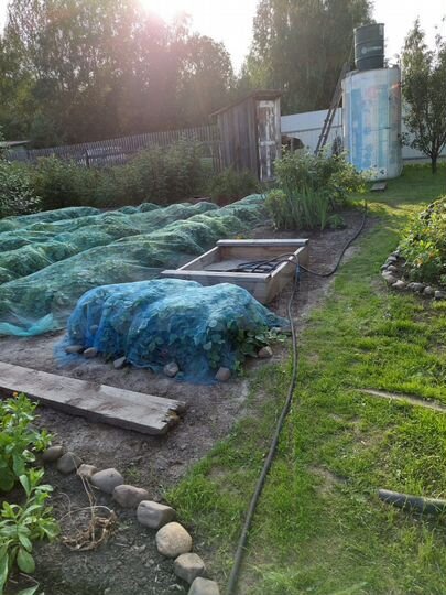 Участок 6,8 сот. (СНТ, ДНП)