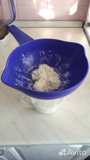 Чайный гриб (комбуча), тибетский (кефирный) гриб