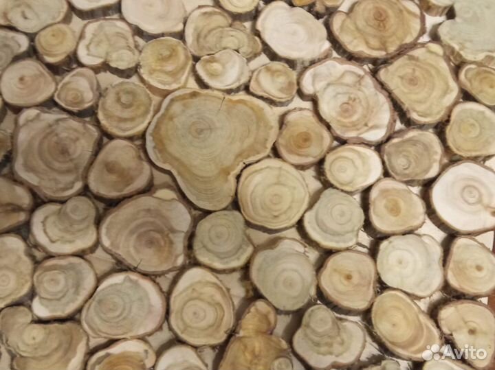 Спилы можжевельника