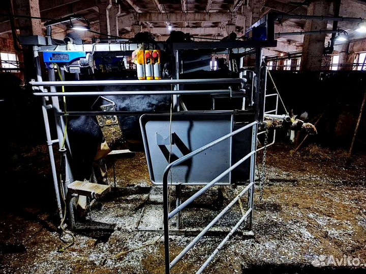 Станок для обрезки/фиксации крс