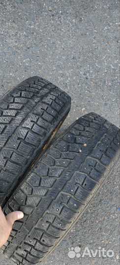 Cordiant Polar 2 185/65 R15