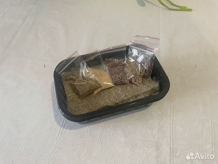 Набор для проращивания микрозелени 5 культур