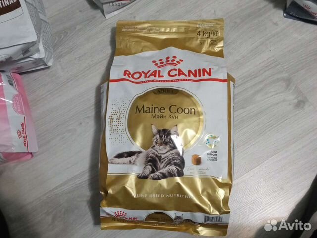 Корм для кошек royal canin Maine Coon 4 кг