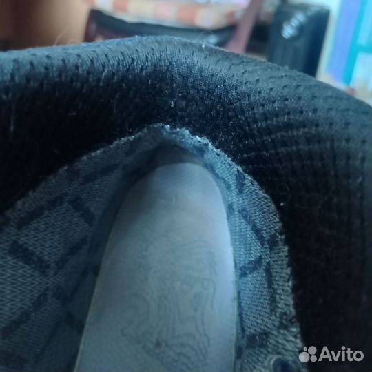 Трекинговые ботинки Lowa Renegade