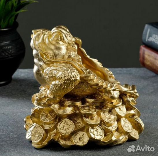 Жаба золотая