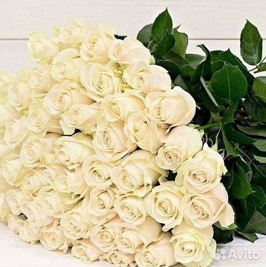 Розы Букеты Цветы Розы 31 101 151 201 Доставка