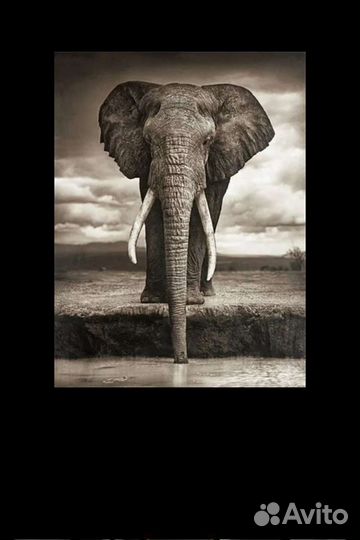 Алмазная вышивка(мозайка)