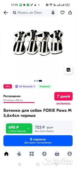 Обувь для собак мелких пород