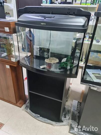 Аквариумы под ключ все размеры и формы гарантия