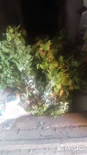 Березовые веники