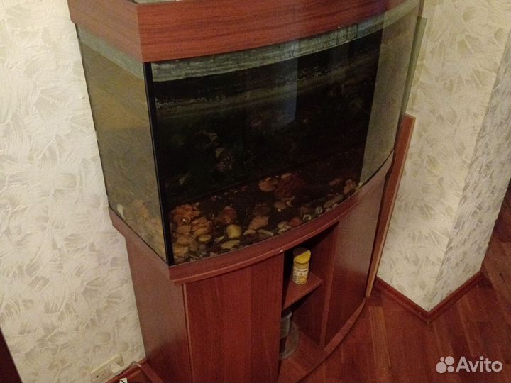 Аквариум 200 л с тумбой
