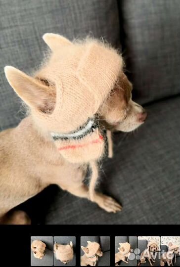 Шапочка для маленькой собачки