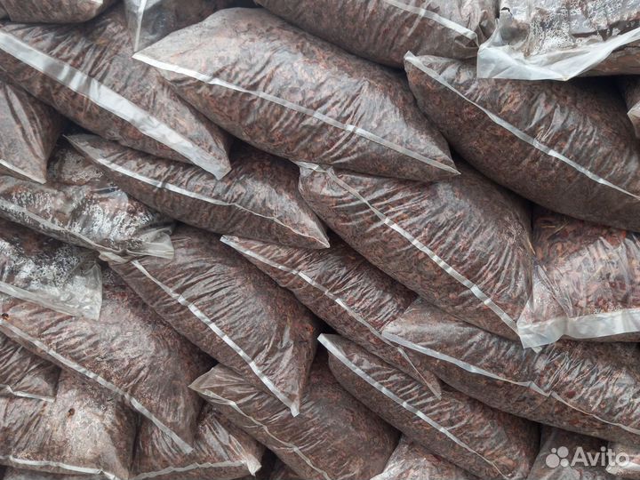 Кора сибирской лиственницы