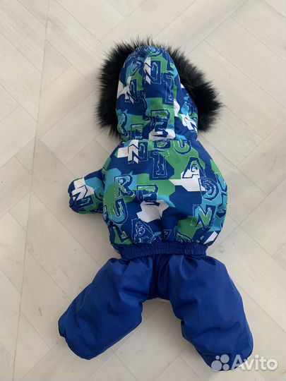 Зимняя одежда для маленьких собак