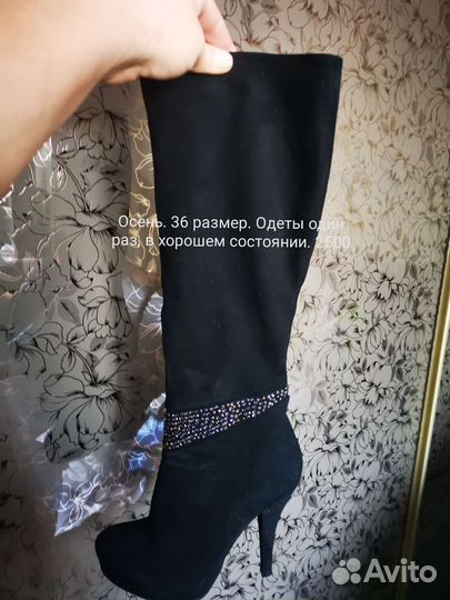 Сапоги