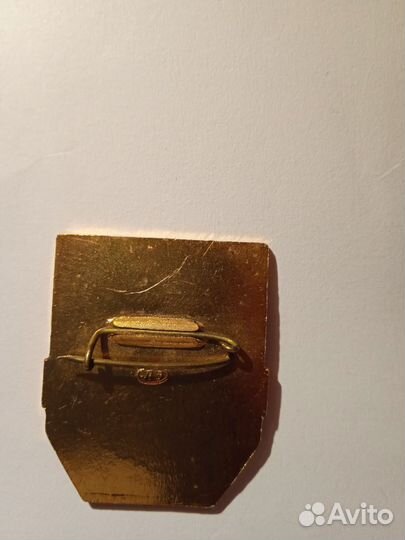 Значок Дружинник