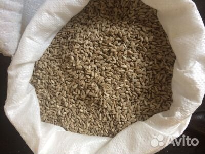 Подсолнечник оптом