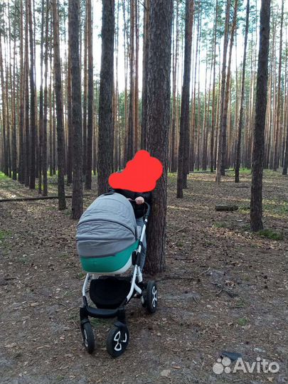 Коляска 2 в 1 adamex